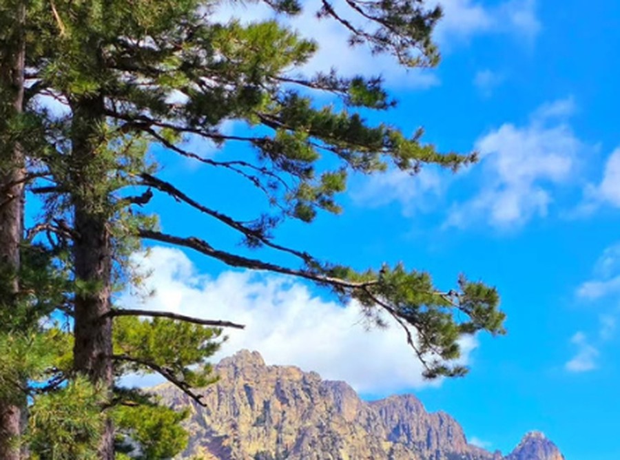 GR20, Corsica
