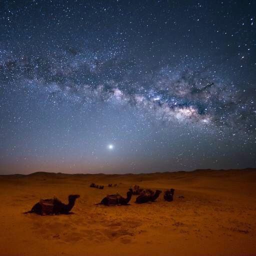 撒哈拉星空银河与骆驼